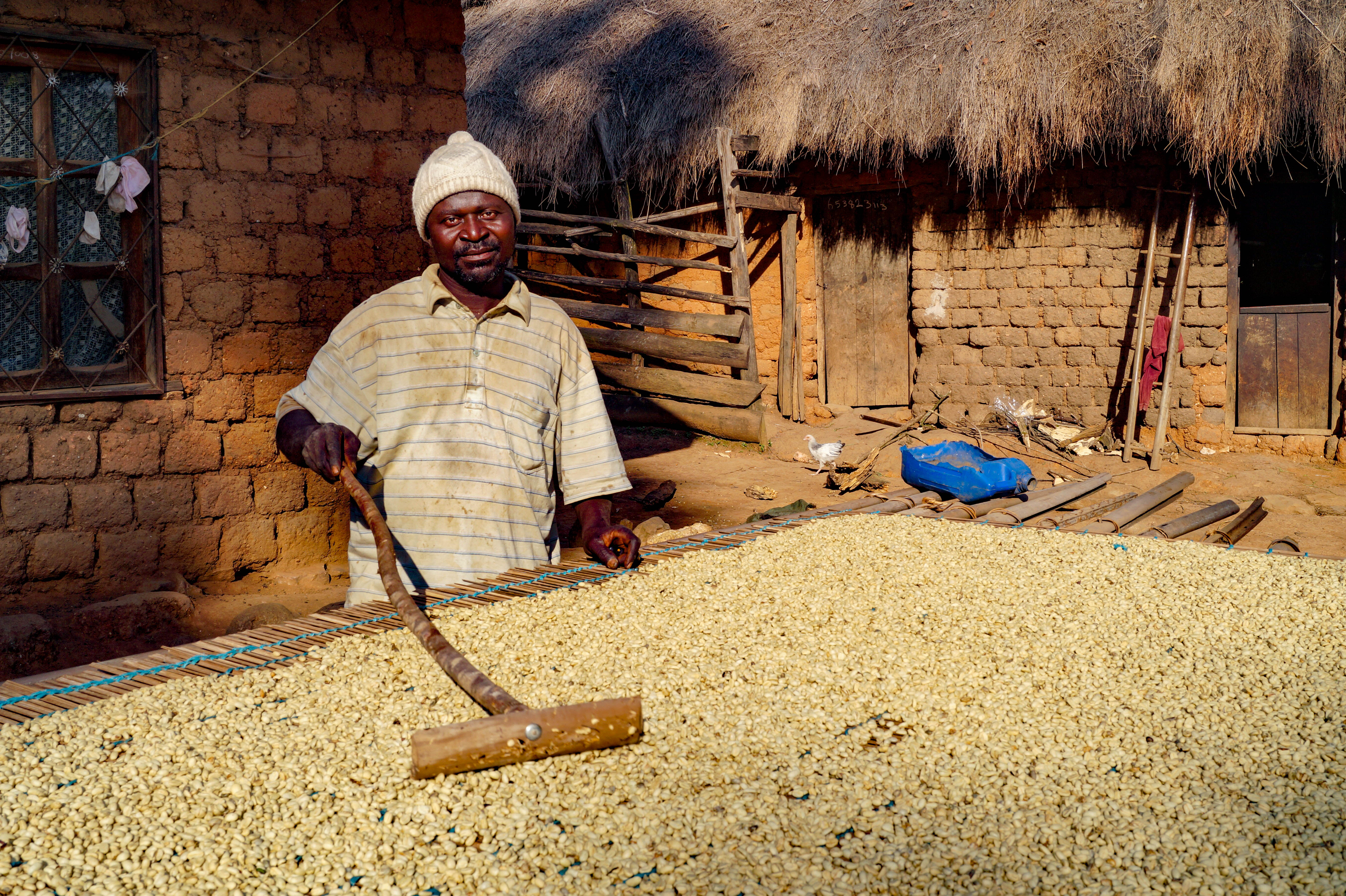 KAMERUN BONJABEE, Espresso