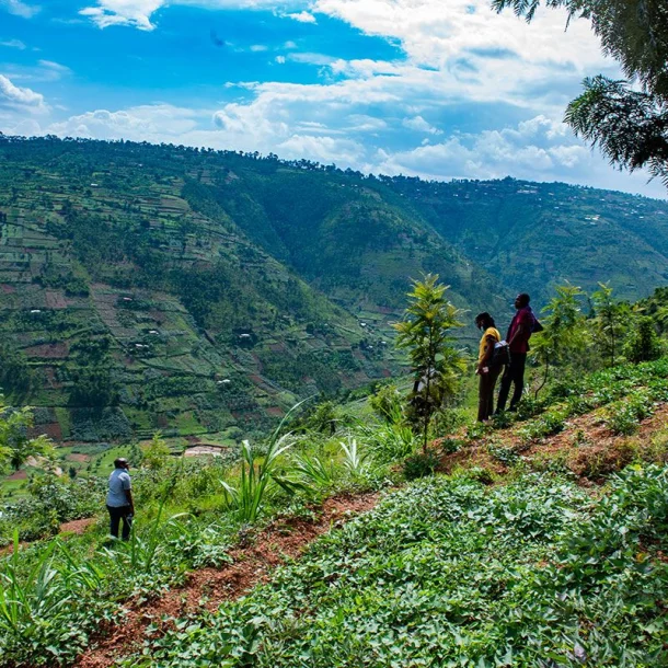 LIMITATA, Espresso, Ruanda 250 g