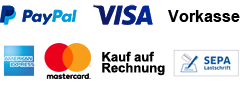 PayPal, Kreditkarte, Lastschrift oder Vorkasse